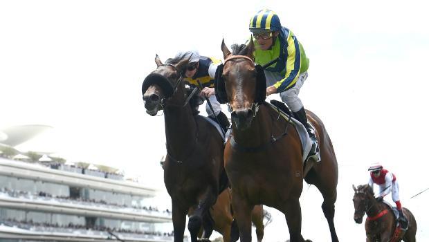 Melbourne Cup: Taranaki-trained Ladies Man edged out of a spot in