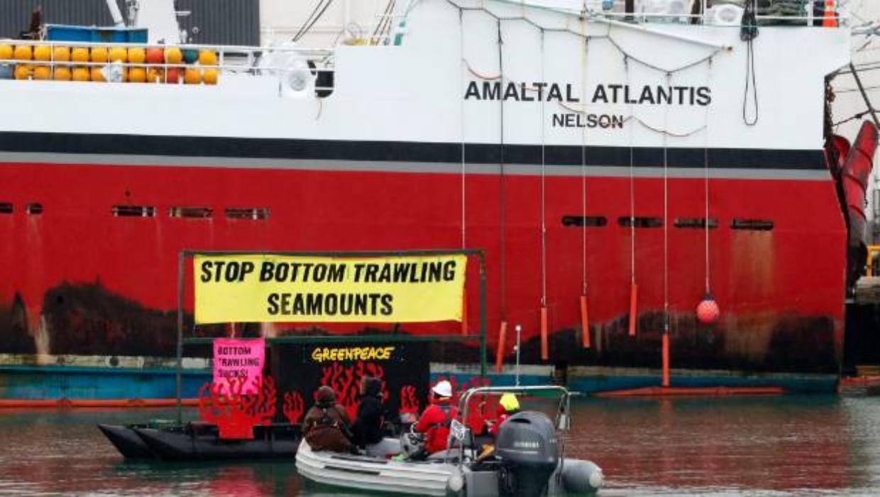 Greenpeace activists target Talley's trawler at Port Nelson