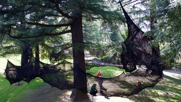 Giant cocoon net makes tree climbing a fun, safe exercise for kids