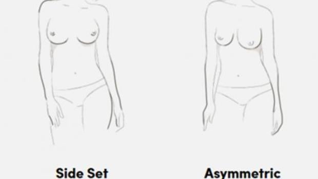 There are seven types of breast shape, lingerie brand claims