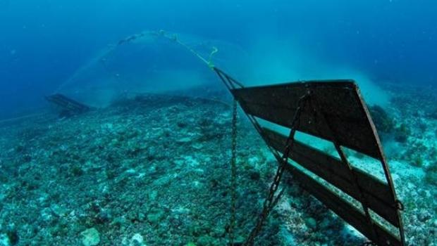 Petition Calls For More Limits on Trawling