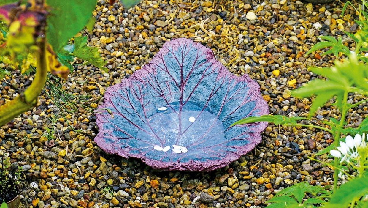 Sculpt a birdbath from a rhubarb leaf