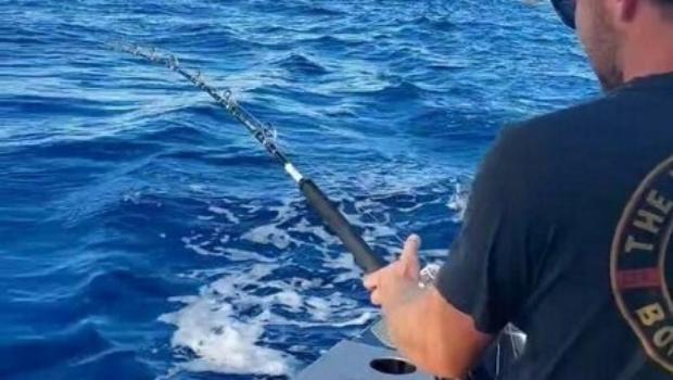 Buzzing': Angler reels in 240kg blue marlin off coast of Hawke's Bay