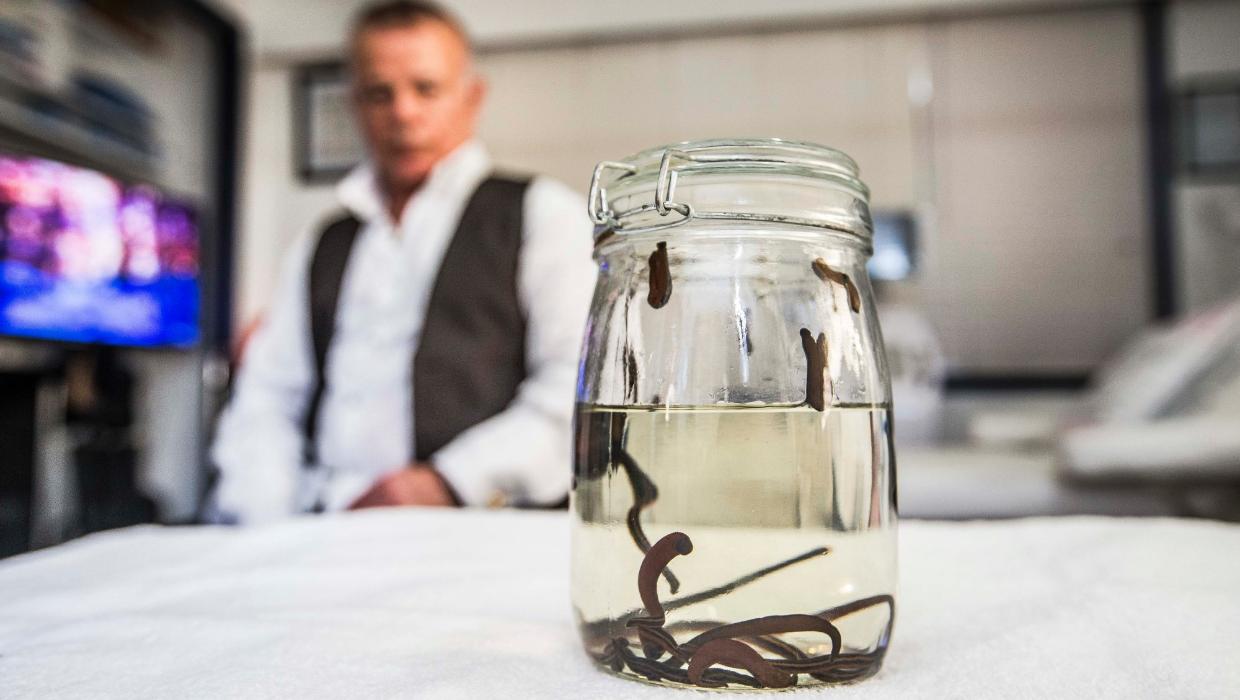 Anger as leeches sold as cure for cancer and Parkinson's disease, despite  MedSafe complaint
